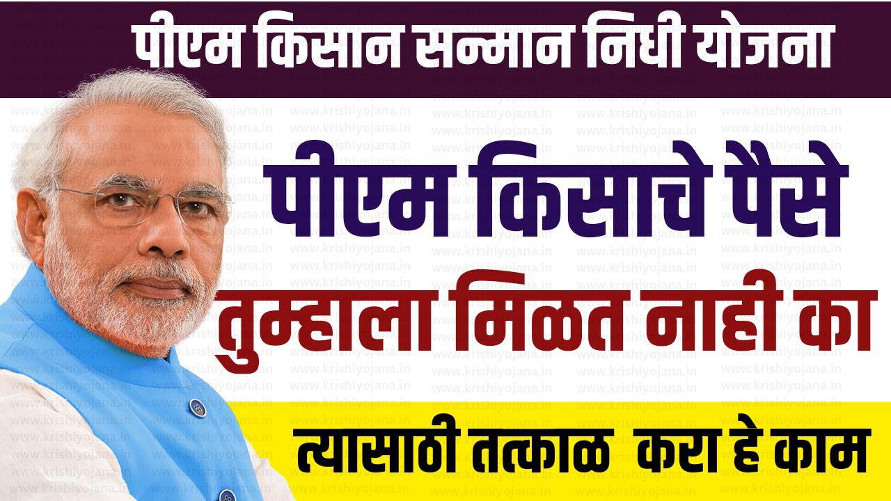 पीएम किसान योजनेच्या हफ्त्यापासून हे शेतकरी राहणार वंचित; आत्ताच करा हे 2 काम PM Kisan Yojana