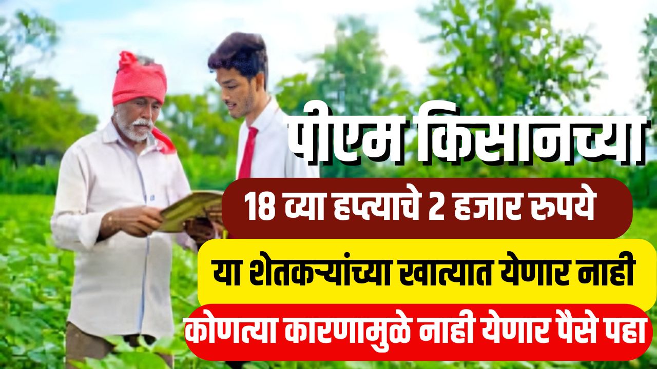 पीएम किसान योजनेचे १८ व्या हप्त्याचे २ हजार रुपये या शेतकऱ्यांच्या खात्यात येणार नाही, काय आहे कारण ? PM Kisan Installment