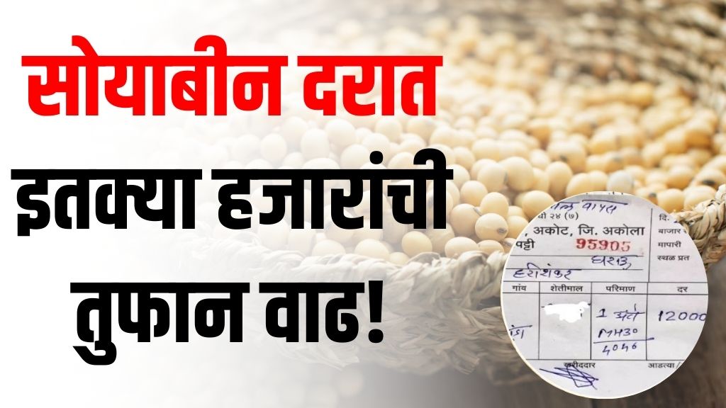 सोयाबीन दरात इतक्या हजारांची तुफान वाढ! पहा सर्व बाजारभाव price of soybeans